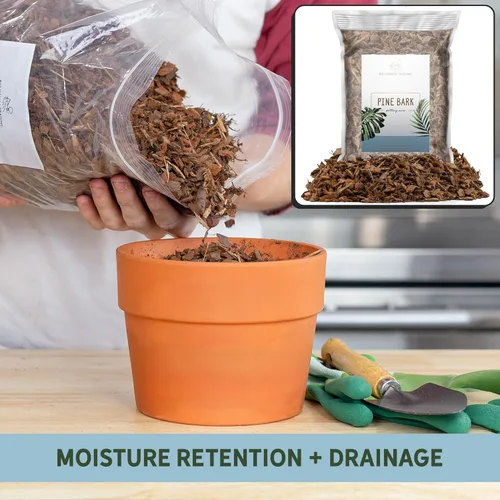 Miniatura 4 de Pepitas de mantillo de corteza de pino 100 % natural (8 cuartos de galón), pequeños chips de mantillo para jardinería en contenedores