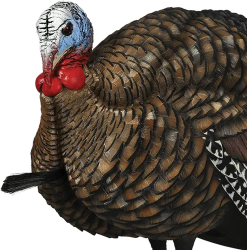 Miniatura 6 de Avian X LCD 1/2 Strut Jake - Señuelo de pavo