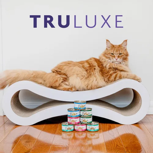 Miniatura 10 de Weruva TruLuxe Alimento para gatos, carne fritas de carne con carne de res y calabaza en salsa, lata de 3 onzas (paquete de 24)