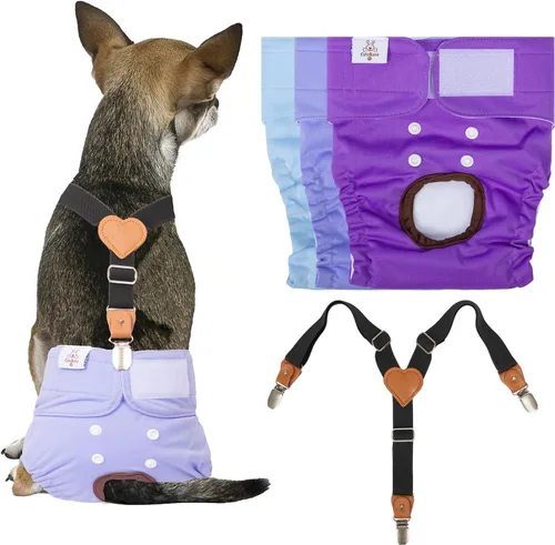 CuteBone Pañales para perras, paquete de 3 pañales reutilizables para perras con un tirante para perros pequeños, medianos y grandes, BDD01L