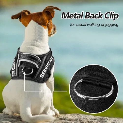 Miniatura 2 de in Training Service - Juego de arnés y parches para perro, con 10 parches para perros, chaleco reflectante con asa para perros pequeños, medianos