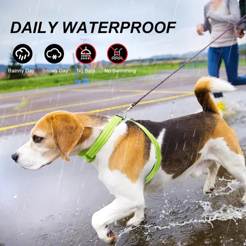 Miniatura 5 de Arnés de chaleco para perro con luz LED, recargable, ajustable y reflectante, arnés con luz LED brillante y oscura, para caminar de seguridad Verde