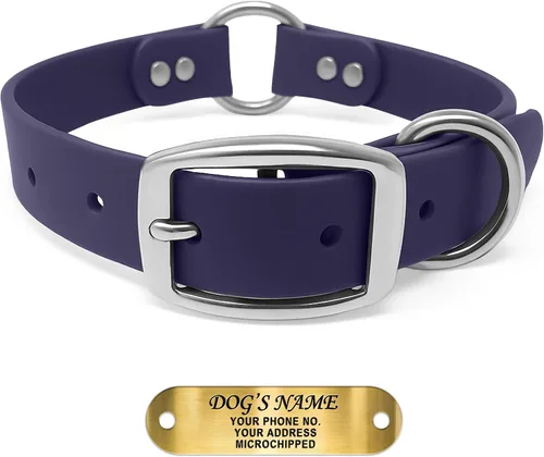 Miniatura 11 de Regal Dog Products Collar de Perro Naranja Mediano con Placa de Nombre Grabada Personalizada - Ajuste Personalizado, Resistente, Fácil de Limpiar