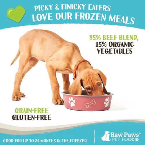 Miniatura 4 de Raw Paws Signature Blend Alimento para mascotas para perros y gatos, receta de carne de res y verduras, rollos de 1 libra (paquete de 20) – Alimento