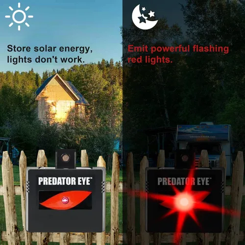 Miniatura 2 de Predator Eye–Aspectek–Ahuyentador nocturno de animales a energía solar, 2 unidades, resistente al agua, control de animales, animales nocturnos, uso