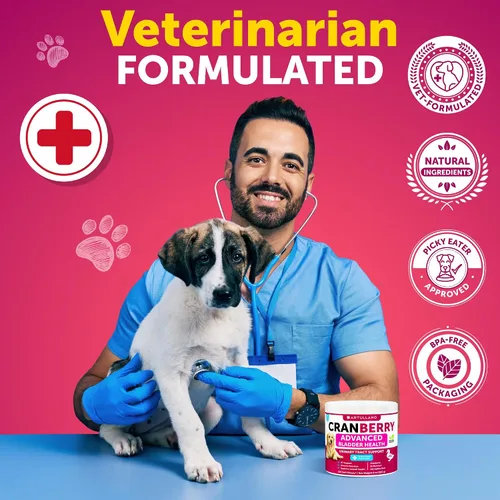 Miniatura 6 de Dog UT Treats - Bocadillos masticables de arándano para perros - Suplemento de apoyo para el tracto urinario y la vejiga con extracto natural