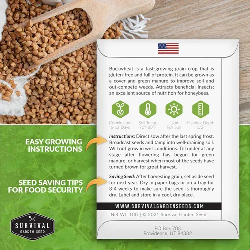Miniatura 2 de Survival Garden Seeds Semilla de trigo sarraceno para plantar, 3 paquetes con instrucciones para plantar y cultivar un cultivo de cobertura
