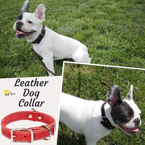 Miniatura 5 de Collar de perro de cuero rojo resistente para perros pequeños, collar de perro suave y fuerte para cachorros