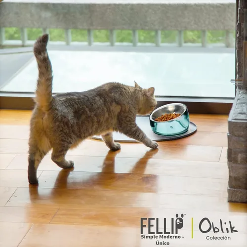 Miniatura 9 de Felli Oblik Cuencos Elevados para Comida de Gatos de Acero Inoxidable 304, Plato Plano Desmontable para Fatiga de Bigotes y Fácil Limpieza en Clásico
