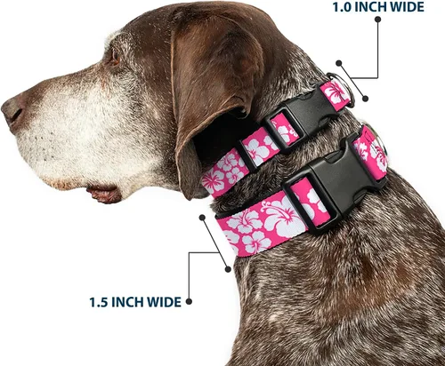 Miniatura 2 de Buckle-Down Collar de clip de plástico, hibisco rosa neón, blanco, 1 pulgada de ancho, se adapta a cuello de 9 a 15 pulgadas, pequeño
