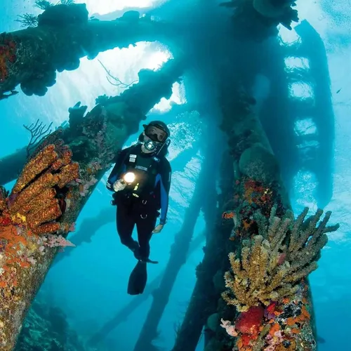 Miniatura 7 de Máscara de buceo con válvula de drenaje de visión amplia, adecuada para adultos, buceo antivaho, botón lateral ajustable rápido, buceo libre