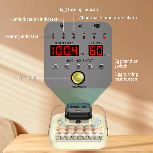 Miniatura 8 de CoInceptus 35 incubadoras de huevos para incubar huevos, incubadora de huevos con giro automático de huevos y control de humedad, incubadora