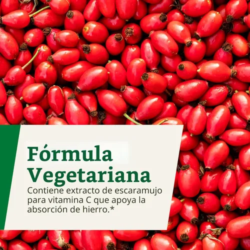 Miniatura 7 de Floradix Hierro y hierbas - Suplemento líquido a base de hierbas para apoyo energético - Suplemento de hierro con vitamina C y complejo de vitamina