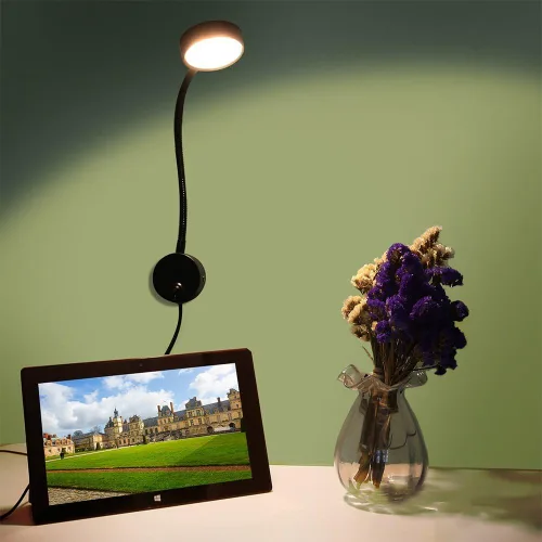Miniatura 7 de Onerbuy Youngine - Lámpara de pared de cuello de cisne flexible con cable de 5 W, lámpara de lectura de obras de arte, luz de acento, montaje