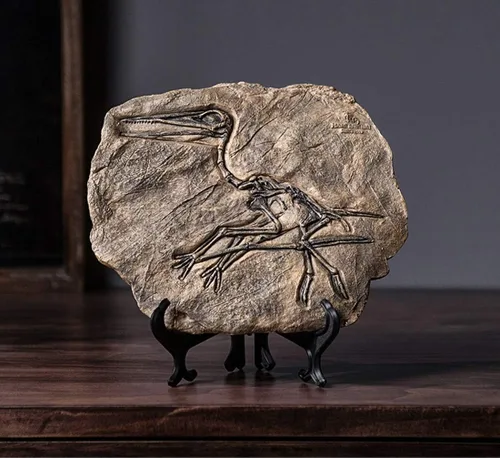 Miniatura 7 de XINDAM Modelo de estatua de fósil de dinosaurio de resina, esqueleto simulado para exhibición en hogar y oficina, caja decorativa de manualidades