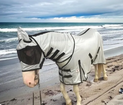 Miniatura 8 de Majestic Ally Sábana para mosca de caballo con cubierta para el cuello y máscara para la cabeza, protección transpirable contra los rayos UV