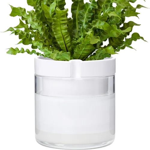 Miniatura 21 de Maceta Phoenix Vine de 6 Pulgadas con Riego Automático, Maceta de Arcilla Terracota con Reservario de Vidrio para Plantas de Interior, Hierbas