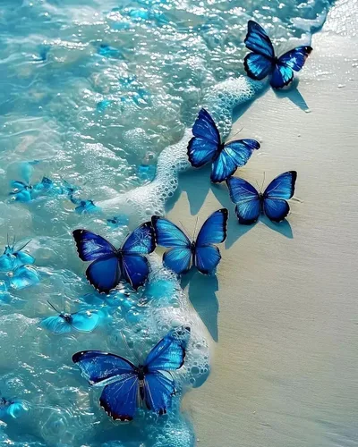 Kits de Pintura de Diamante de Mariposa HSENJT para Adultos, Kits de Arte de Diamante 5D de Playa DIY, Pintura de Diamante DIY para Decoración de