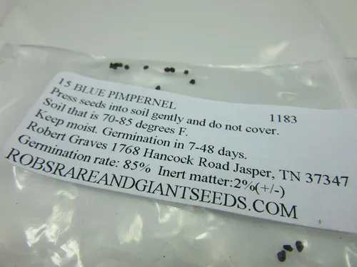 Miniatura 2 de UPC0764425788287 - Semillas de espinela azul (Anagallis monelli) de Robsrareandgiantseeds UPC0764425788287 Sin OMG, orgánico, cultivador de EE. UU.