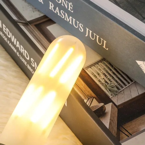 Miniatura 8 de XININSUN Bombillas LED esmeriladas T10, color blanco cálido 2700 K, bombillas LED Edison tubulares regulables de 6 W, equivalente a 60 vatios, 600