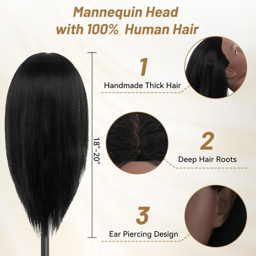 Miniatura 3 de Cabeza de maniquí 100% cabello humano, cabeza de maniquí de 18 pulgadas con cabello humano real, cabeza de muñeca cosmetología para peluquería