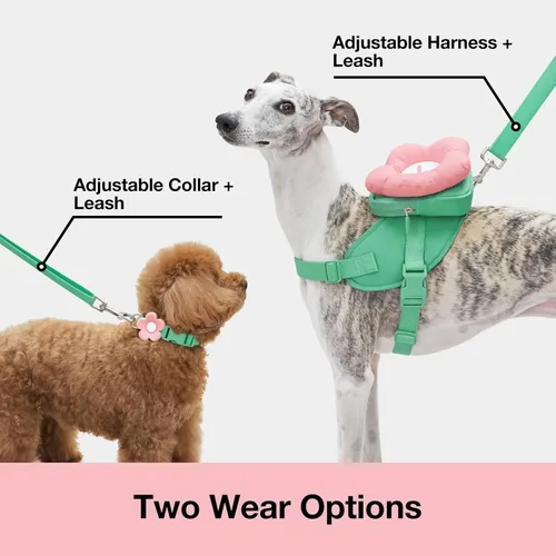 Miniatura 3 de VETRESKA Flora - Juego de arnés para perro, correa y collar, arnés de chaleco para perro sin tirones para caminar y entrenar, ajustable, fácil
