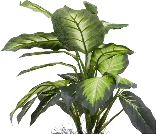 Miniatura 3 de Nearly Natural Dieffenbachia dorada con jarrón de madera Planta de seda