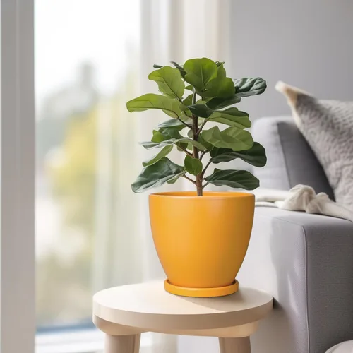 Miniatura 7 de Maceta para Plantas de 6.8 Pulgadas - Maceta de Cerámica con Orificio de Drenaje y Platillo, Maceta Redonda Moderna para Flores, Macetas