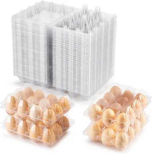 SINLUCESCE 120 paquetes de cartón de plástico transparente para huevos, 3 x 4 rejillas, cartón de huevos de ciego, perfecto para mercados de granja