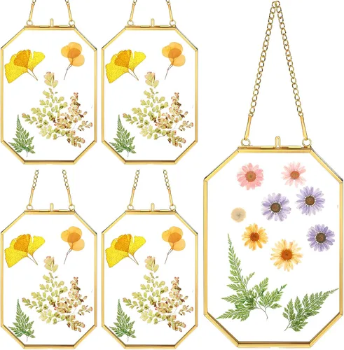 Miniatura 10 de Treela 4 marcos de flores prensadas de vidrio de 4 x 6 pulgadas, marcos de vidrio dobles colgantes con cadena de metal octágono de latón para mesa