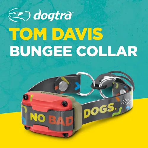 Miniatura 2 de Dogtra Tom Davis Collar Bungee Cómodo de fácil ajuste Compatible con Tom Davis Edición 280C Collar de entrenamiento para perro E-Collar Receptores