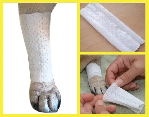 Miniatura 9 de PawFlex Funda protectora tubular – Vendajes – para perros, gatos y otras mascotas, primeros auxilios para el cuidado de heridas, cómoda,