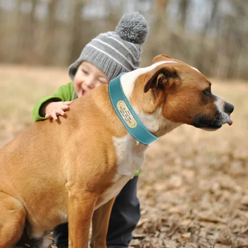 Miniatura 2 de Didog Collares de perro de cuero genuino con placa de identificación grabada, collar de perro de cuero suave personalizado con etiqueta de Azul