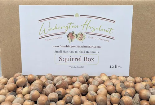 Miniatura 8 de Avellanas en cáscara, cultivadas en el huerto de nuestra familia en el estado de Washington (crudo, 8 libras)
