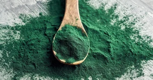 Miniatura 2 de klamath algas verdes azules - ALGA VERDE AZUL 500 mg de Klamath Lake - suplementos nutricionales antioxidantes, píldoras de espirulina extra fuerte
