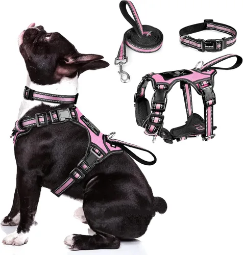 Miniatura 16 de WINSEE - Juego de arnés, collar y correa para mascotas, todo en uno, arnés reflectante para perros sin tirones con hebillas ajustables para Rojo