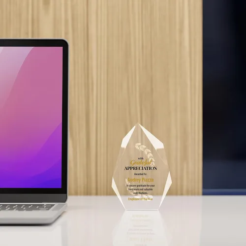 Miniatura 6 de Baudville Trofeo de placa de premio de apreciación grabada personalizada, personalización única para jefe, empleado, gerente, miembro de la junta