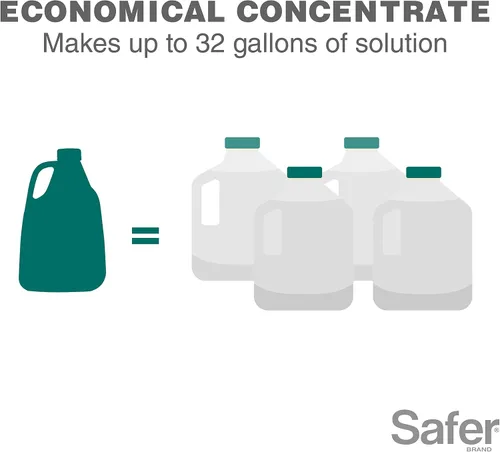 Miniatura 10 de Safer Brand 5192-6 Aerosol latente de aceite concentrado para horticultura, 1 paquete, verde, 16 oz