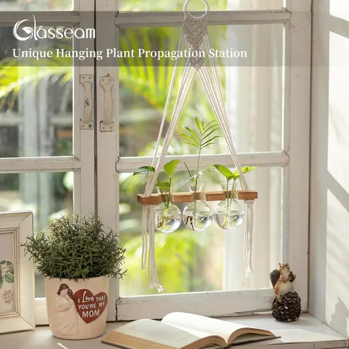 Miniatura 2 de Glasseam Estaciones de propagación de macramé colgantes: jarrones de propagación de vidrio para ventanas de pared para plantas hidropónicas