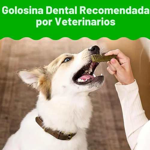 Miniatura 3 de Greenies Golosinas dentales regulares originales para perros, paquete de 54 onzas (54 golosinas)