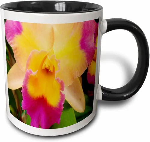 3dRose Florene Flores – Gorgeous Orquídea – Tazas, Negro/Blanco