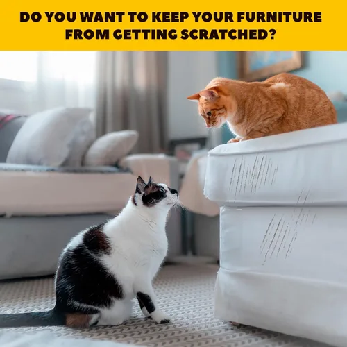 Miniatura 8 de Protector de muebles antiarañazos para gatos, protector de arañazos de sofá contra gatos, protección de muebles contra arañazos de gatos (10XL)