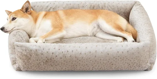 Miniatura 18 de JOEJOY Cama mediana para perros de tamaño mediano, cama ortopédica rectangular lavable para mascotas con funda de cremallera extraíble, bonita cama