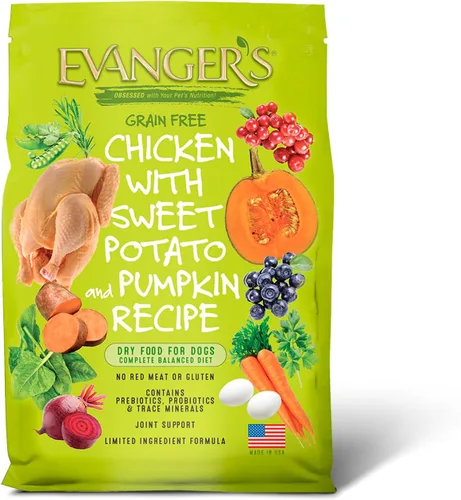Evanger's Pollo sin granos con batata y calabaza alimento seco para perros – 4.4 libras – Pollo fresco deshuesado, probióticos, omegas 3 y 6, sin