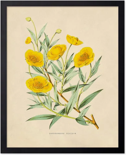 Miniatura 67 de Poster Master Póster Vintage de Plantas Cultivadas - Impresión Botánica Retro - Arte de Flores - Arte de Plantas - Regalo para Hombres y Mujeres