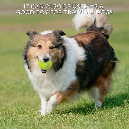 Miniatura 9 de SHYUJAJIE Tennis Balls, 20 Pack Training Tennis Balls,High Elasticity Practice Tennis for Beginner, Exercise Playing Balls for Pet Dog Azul claro