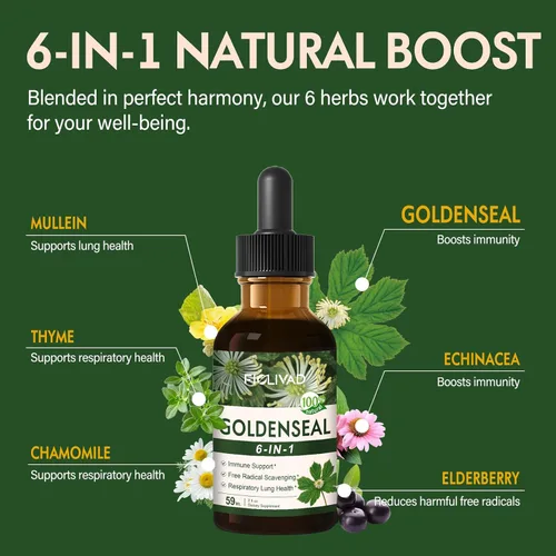 Miniatura 4 de Goldenseal Extracto de raíz líquida gota para apoyo inmunológico y respiratorio de la salud pulmonar, suplemento de fórmula herbaria 6 en 1