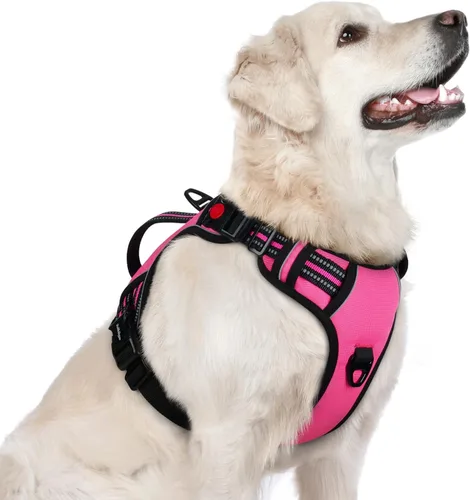 Miniatura 32 de rabbitgoo Arnés para perro de tamaño pequeño, arnés para mascotas sin tirones con mango acolchado suave, chaleco reflectante ajustable con 3