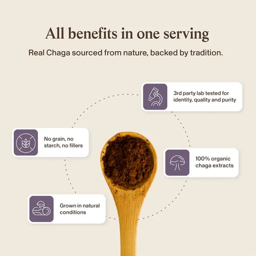 Miniatura 7 de Real Mushrooms Polvo de hongos Chaga – Extracto orgánico de Chaga de cuerpo fructífero – para bienestar y apoyo energético – Vegano, sin OMG, 150