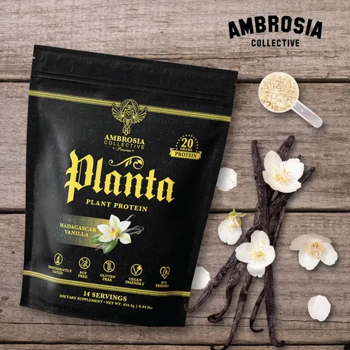 Miniatura 5 de Ambrosia Planta - Proteína prémium a base de plantas Apto para veganos y keto Sabores gourmet sin hinchazón ni malestar estomacal Sin gluten